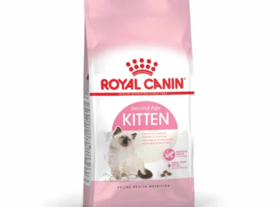 Royal canin kitten