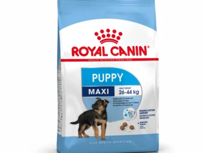 Royal canin puppy maxi