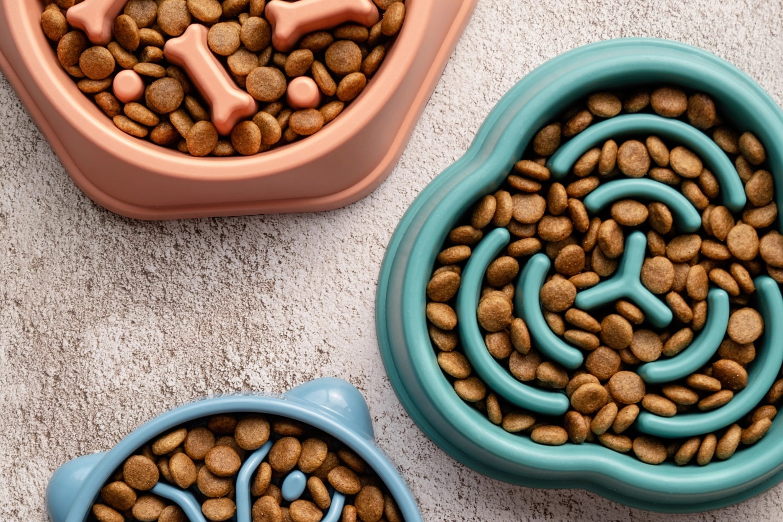 Ponte en Contacto con Nosotros